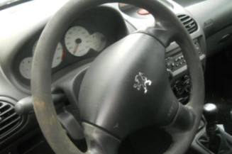 Porte arriere gauche PEUGEOT 206