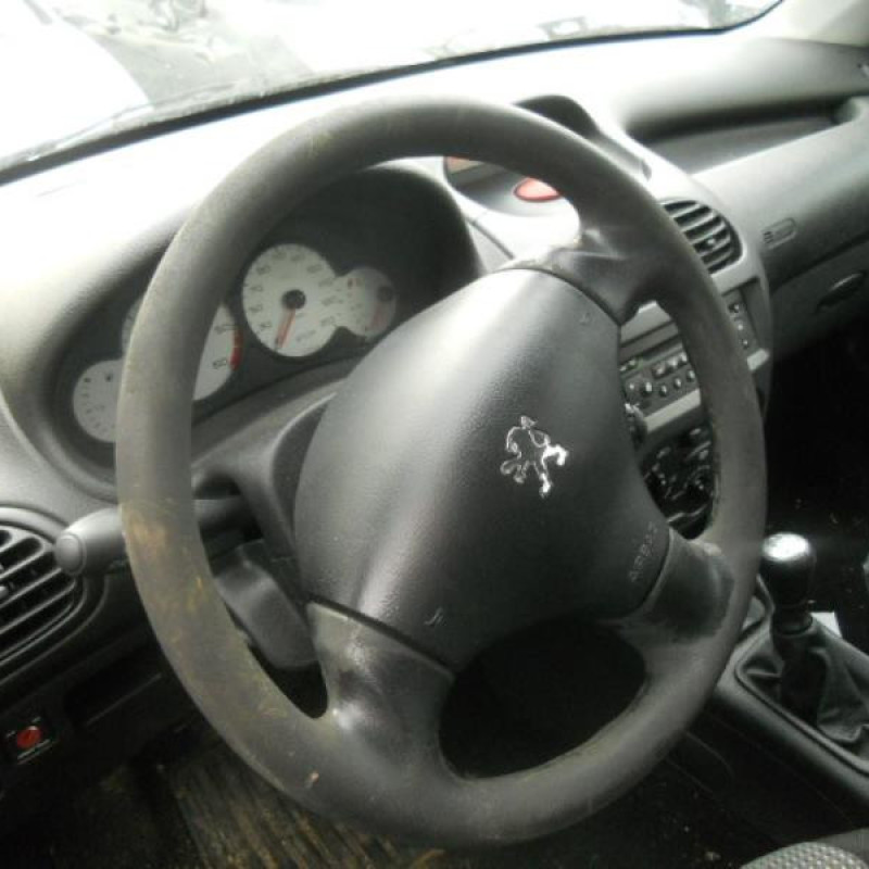 Porte arriere gauche PEUGEOT 206 Photo n°8