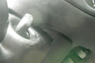 Porte arriere gauche PEUGEOT 206