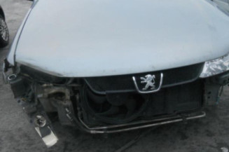 Leve vitre electrique arriere droit PEUGEOT 406