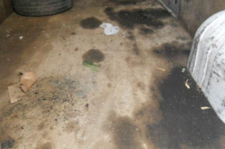 Poignee interieur porte de coffre droite RENAULT MASTER 2