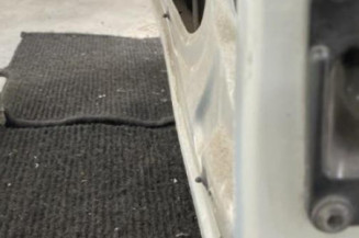 Porte laterale gauche RENAULT KANGOO 1