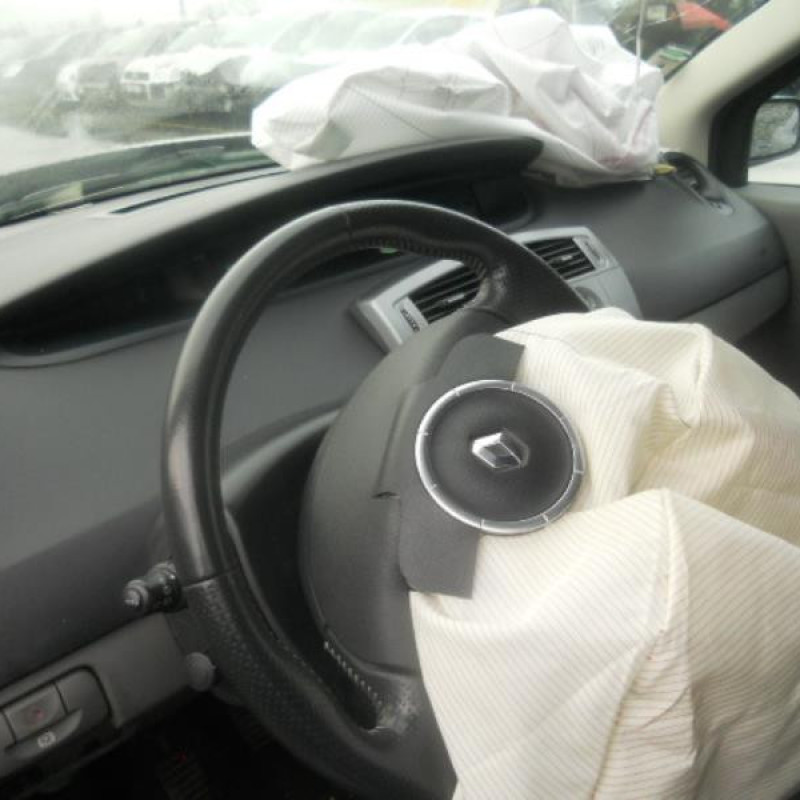 Poignee interieur arriere droit RENAULT GRAND SCENIC 2 Photo n°9