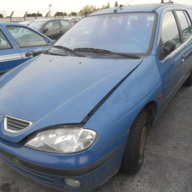 Porte arriere gauche RENAULT MEGANE 1 Photo n°3