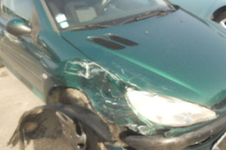 Neiman PEUGEOT 206