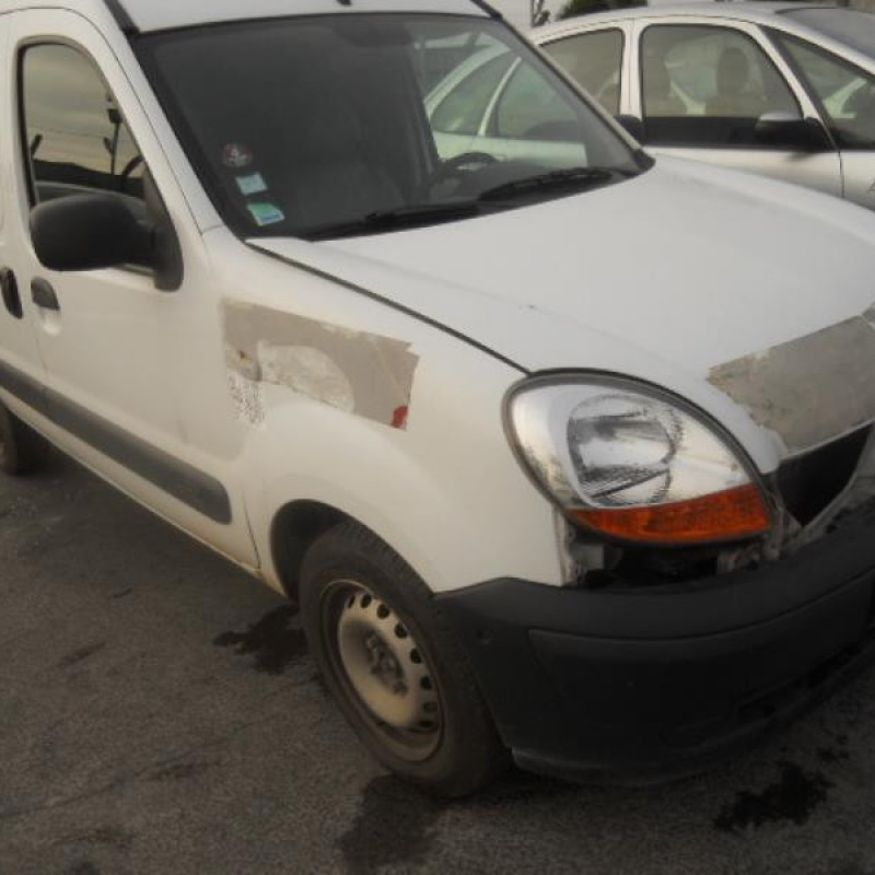 Porte de coffre droit RENAULT KANGOO 1 Photo n°5
