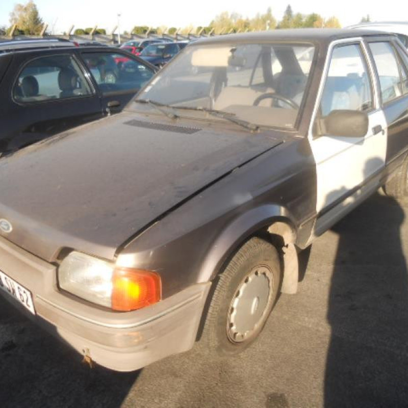 Porte arriere gauche FORD ESCORT 4 Photo n°5