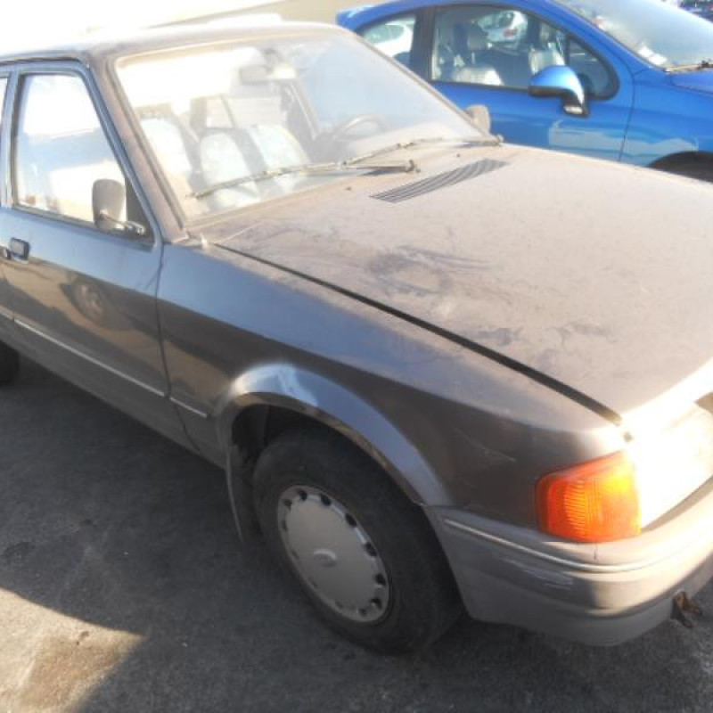 Porte arriere gauche FORD ESCORT 4 Photo n°6