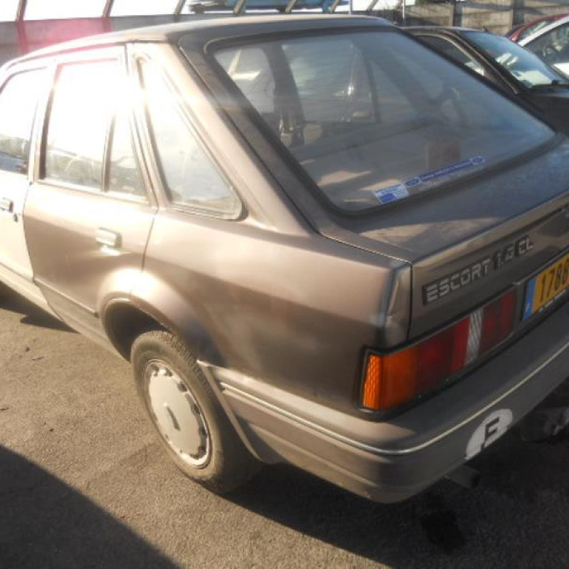 Porte arriere gauche FORD ESCORT 4 Photo n°8
