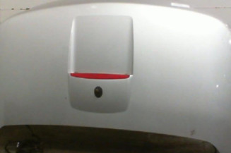 Malle/Hayon arriere RENAULT MEGANE 2 Photo n°1