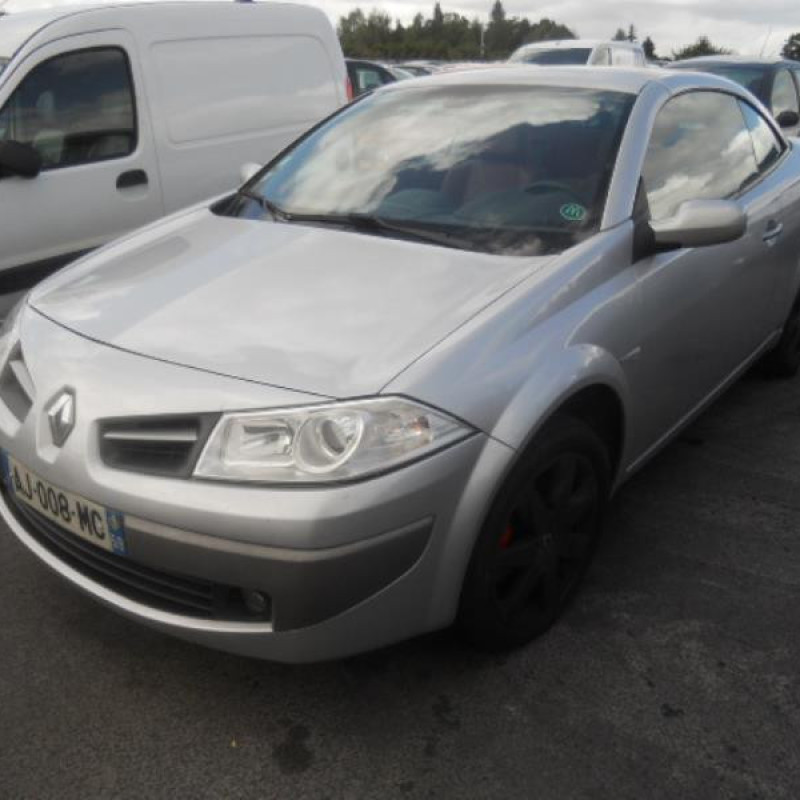 Malle/Hayon arriere RENAULT MEGANE 2 Photo n°3