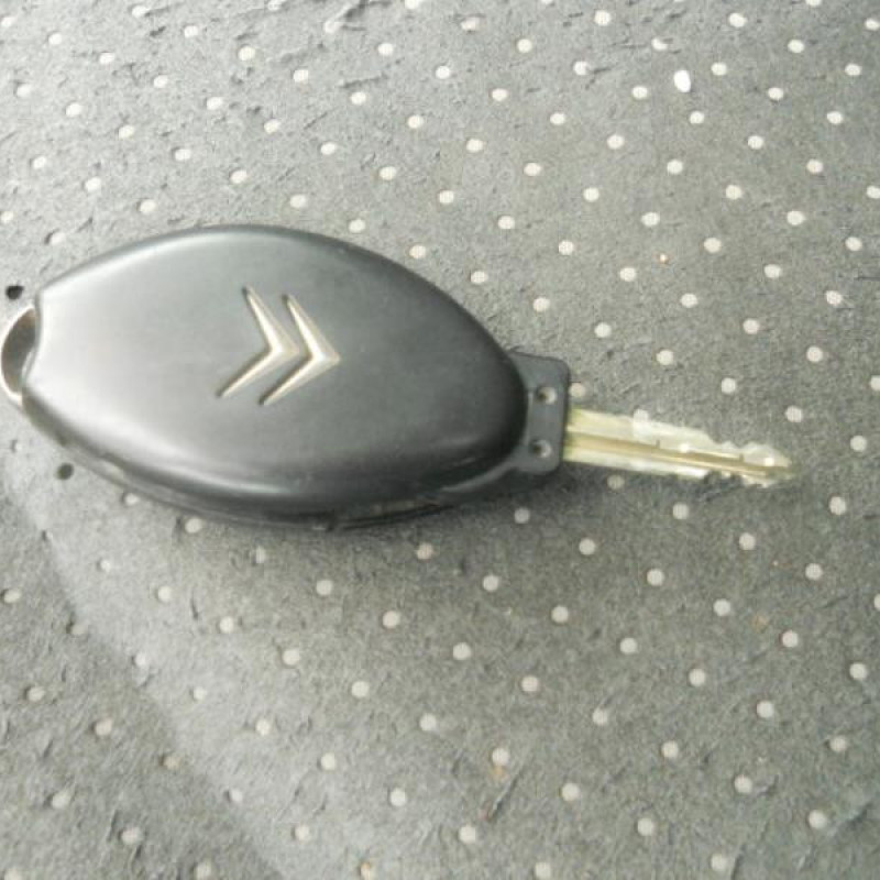 Porte arriere droit CITROEN C5 1 Photo n°11