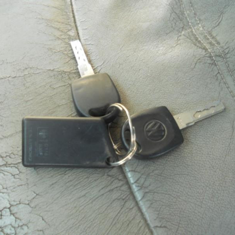 Porte arriere droit VOLKSWAGEN SHARAN 1 Photo n°7