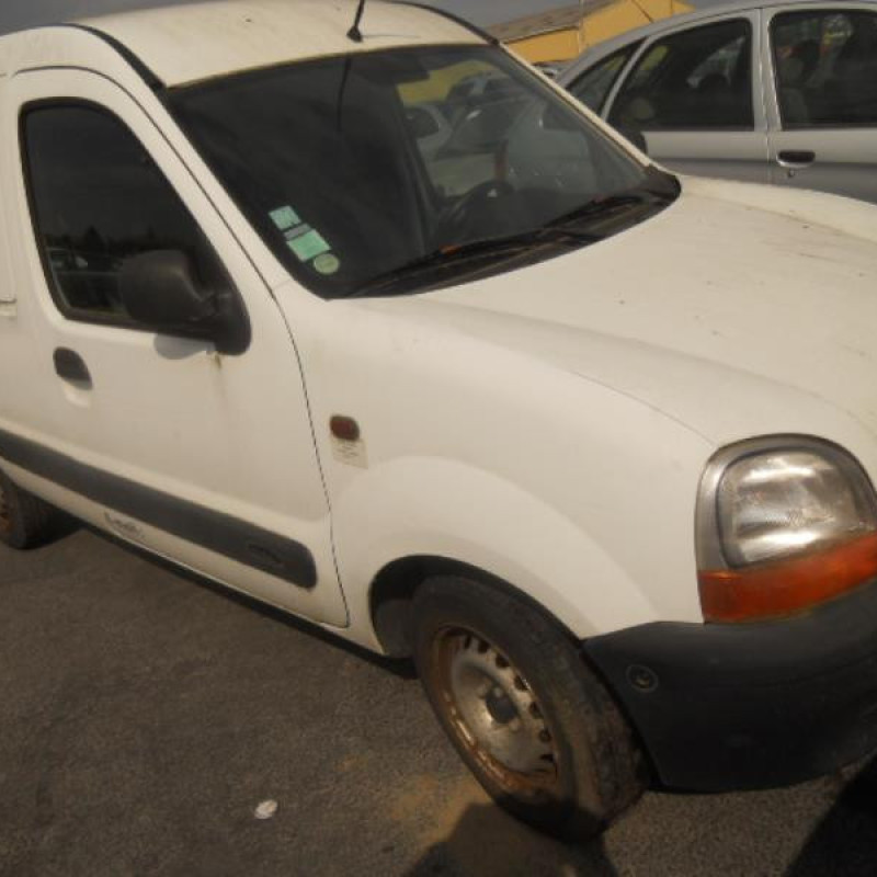 Porte de coffre droit RENAULT KANGOO 1 Photo n°3