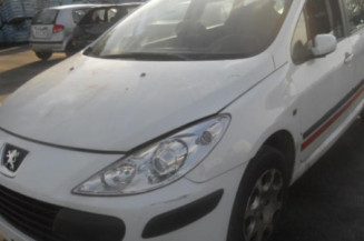 Porte arriere gauche PEUGEOT 307