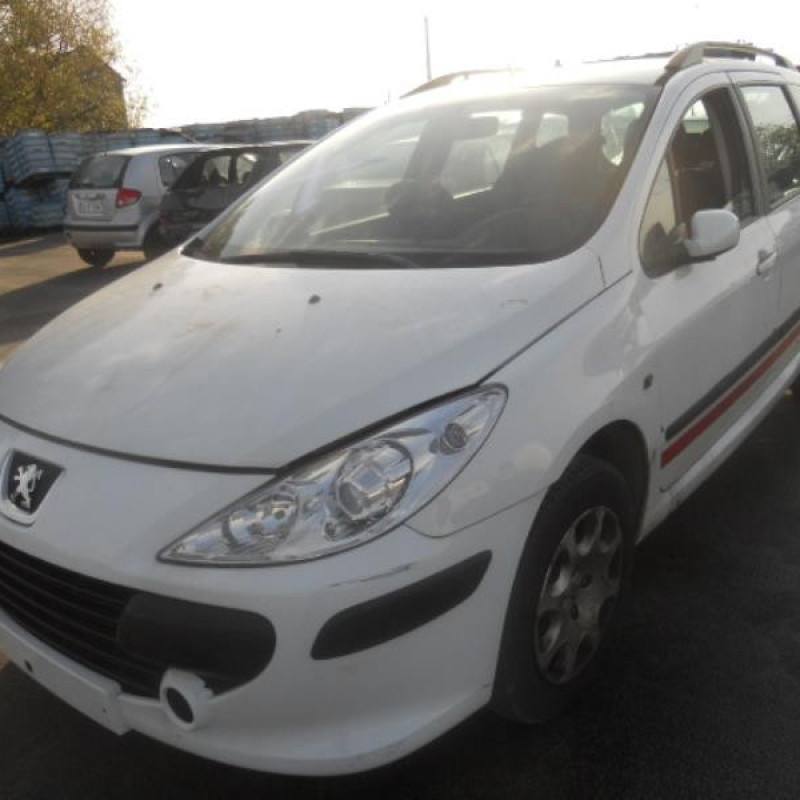 Porte arriere gauche PEUGEOT 307 Photo n°4