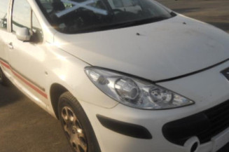 Porte arriere gauche PEUGEOT 307