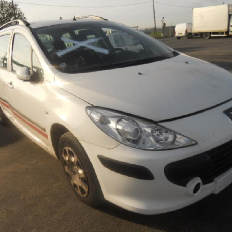 Porte arriere gauche PEUGEOT 307 Photo n°5