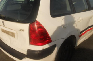 Porte arriere gauche PEUGEOT 307