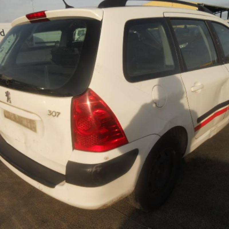 Porte arriere gauche PEUGEOT 307 Photo n°6