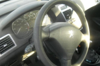 Porte arriere gauche PEUGEOT 307