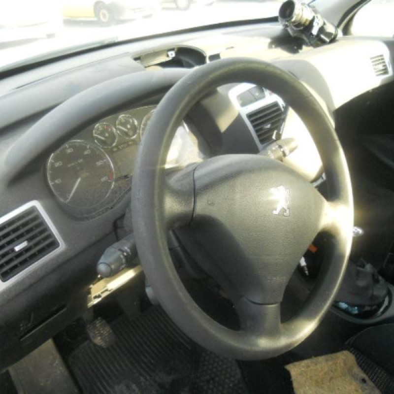 Porte arriere gauche PEUGEOT 307 Photo n°8