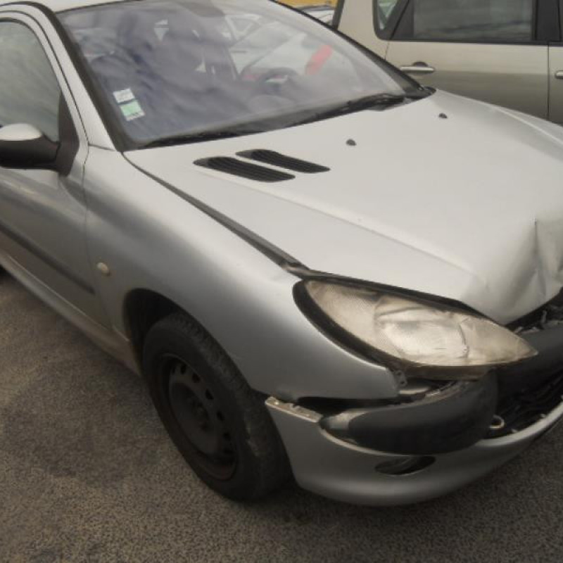 Neiman PEUGEOT 206 Photo n°5