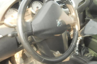 Porte arriere gauche PEUGEOT 207