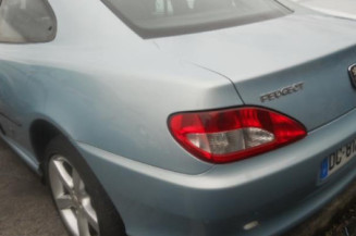 Malle/Hayon arriere PEUGEOT 406
