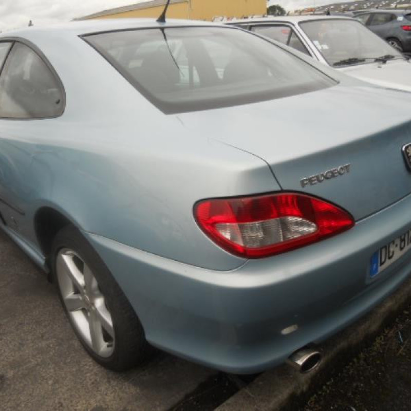 Malle/Hayon arriere PEUGEOT 406 Photo n°4