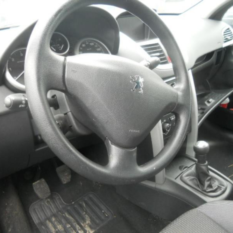 Poignee interieur avant gauche PEUGEOT 207 Photo n°10