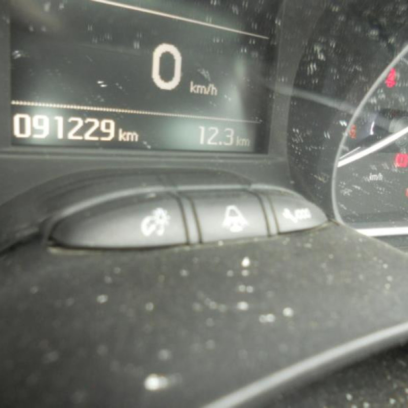 Poignee interieur avant gauche PEUGEOT 208 1 Photo n°12
