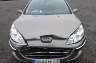 Porte arriere gauche PEUGEOT 407