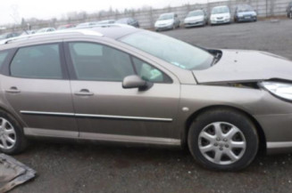 Porte arriere gauche PEUGEOT 407