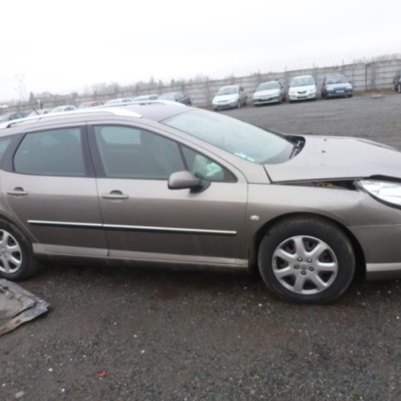 Porte arriere gauche PEUGEOT 407 Photo n°4