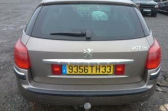 Porte arriere gauche PEUGEOT 407