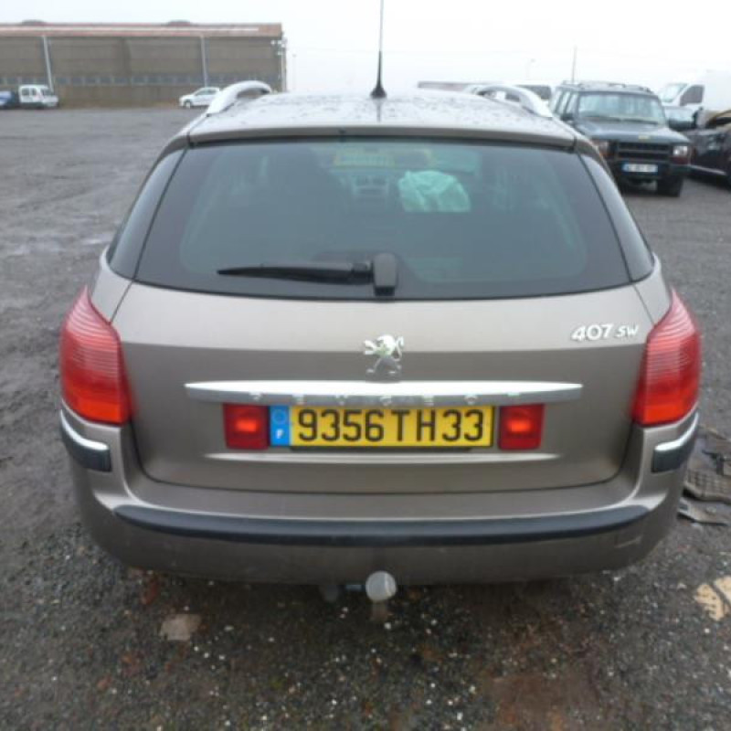 Porte arriere gauche PEUGEOT 407 Photo n°5