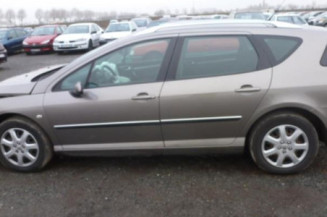 Porte arriere gauche PEUGEOT 407
