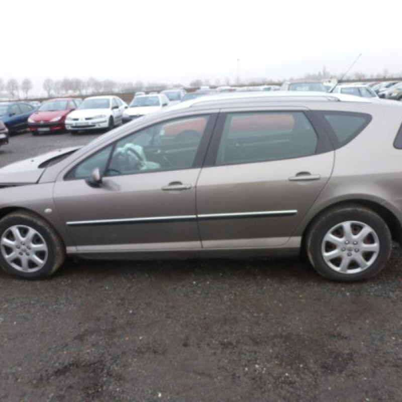 Porte arriere gauche PEUGEOT 407 Photo n°6