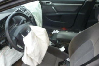 Porte arriere gauche PEUGEOT 407