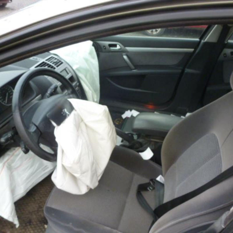 Porte arriere gauche PEUGEOT 407 Photo n°7