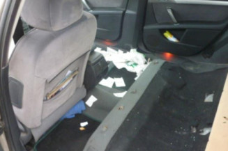 Porte arriere gauche PEUGEOT 407