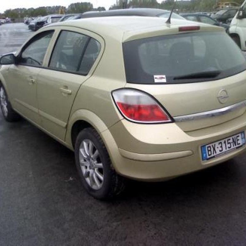 Porte arriere droit OPEL ASTRA H Photo n°3