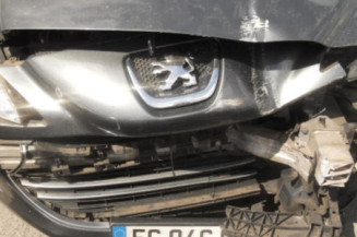 Eclairage de plafonnier PEUGEOT 308 1