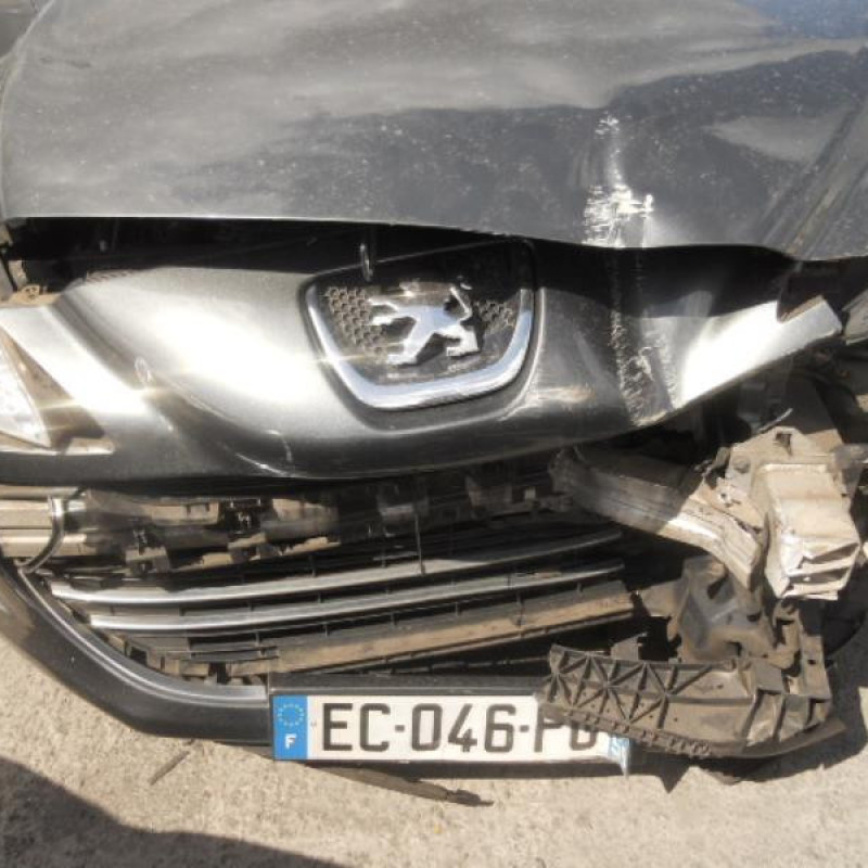 Eclairage de plafonnier PEUGEOT 308 1 Photo n°4