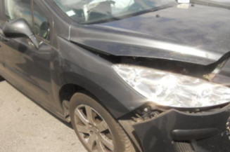 Eclairage de plafonnier PEUGEOT 308 1