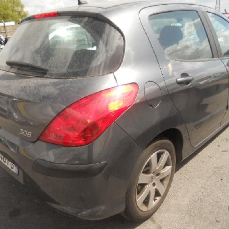 Eclairage de plafonnier PEUGEOT 308 1 Photo n°6