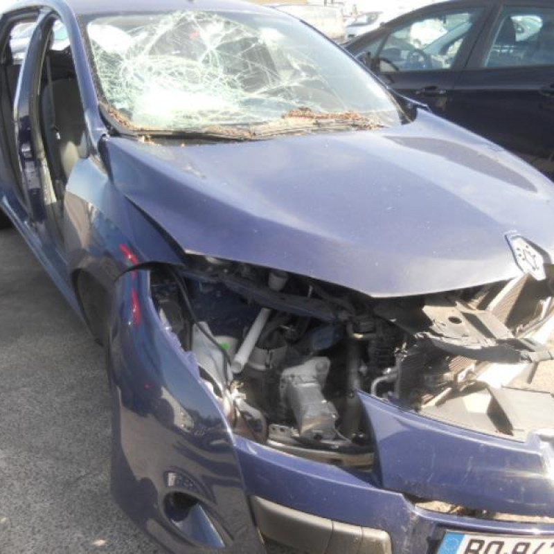 Bouton de warning RENAULT MEGANE 3 Photo n°5