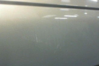 Porte avant droit RENAULT SCENIC 1