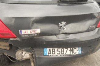 Mastervac PEUGEOT 308 1